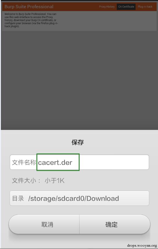 原文图片