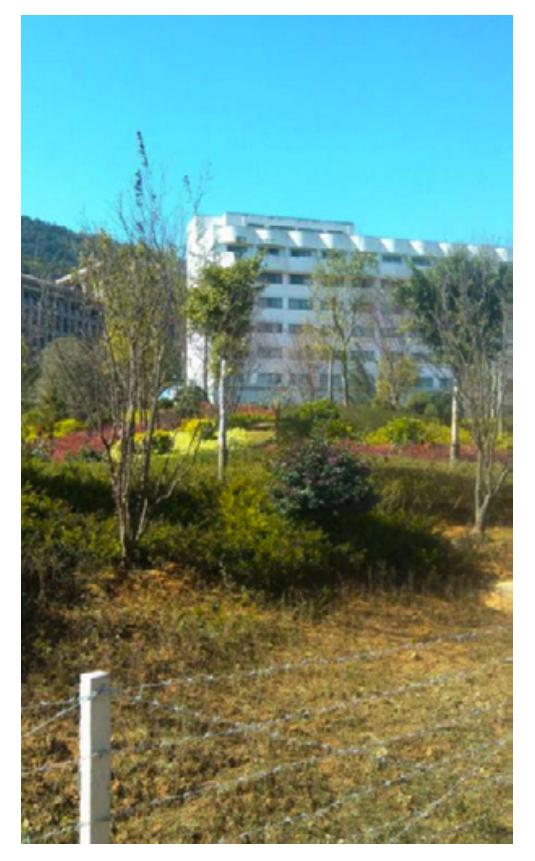 原文图片