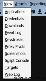 原文图片
