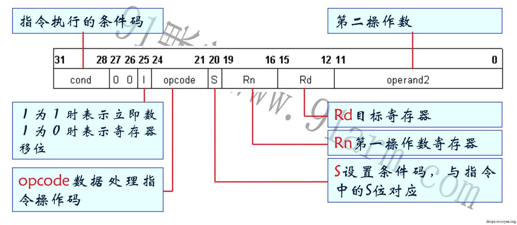 原文图片