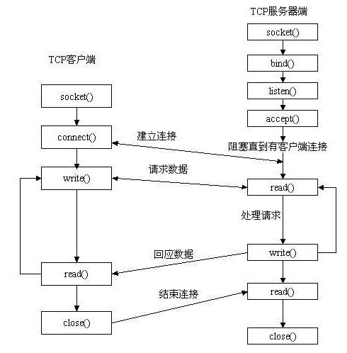 原文图片