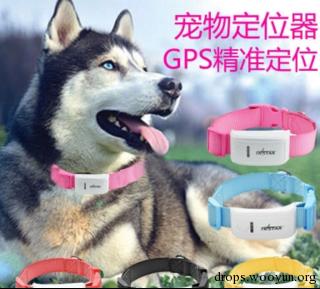 原文图片