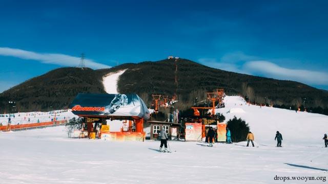 原文图片